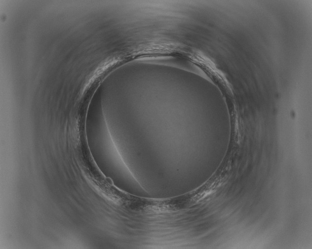 X0000069810250200605191053