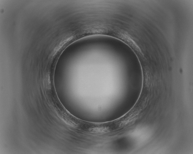 X0000069810251200605191053