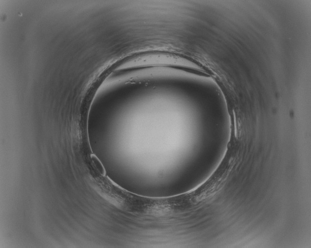 X0000069810252200605191053