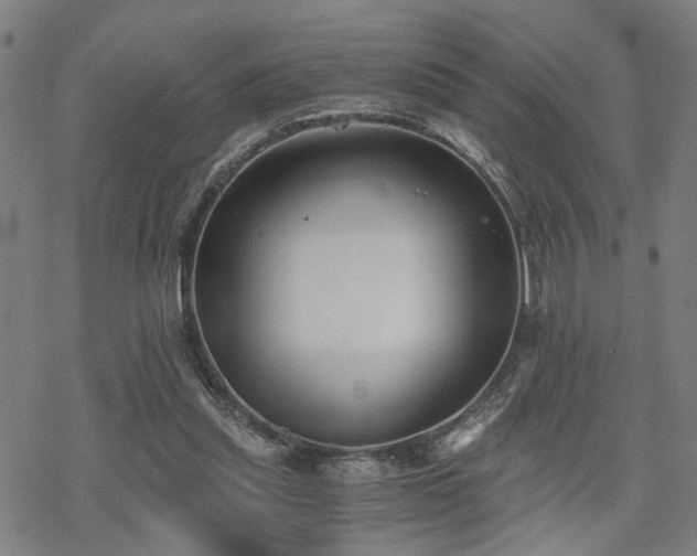 X0000069810253200605191053