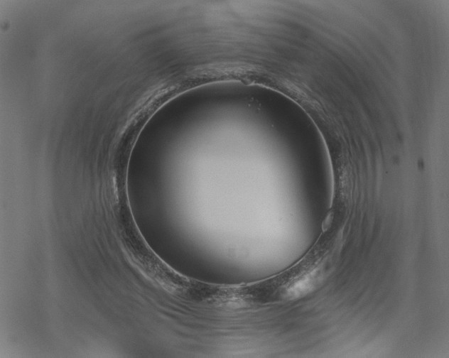 X0000069810254200605191053