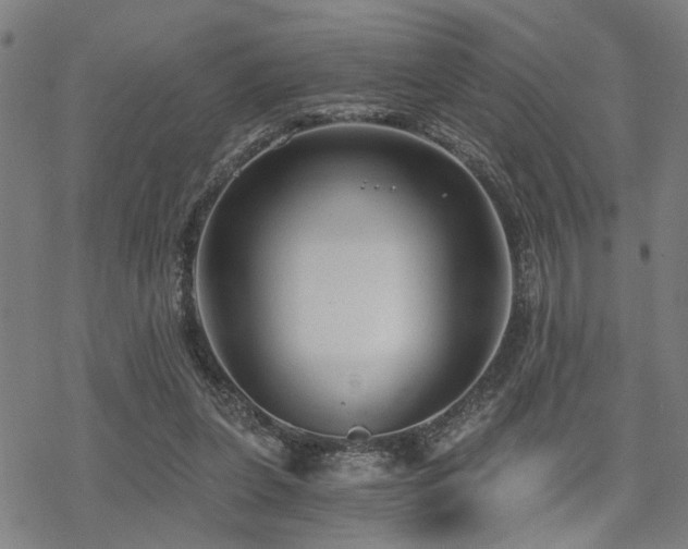 X0000069810255200605191053