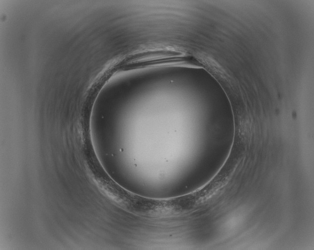 X0000069810256200605191053