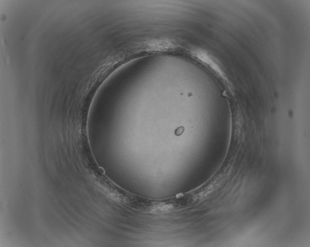 X0000069810257200605191053