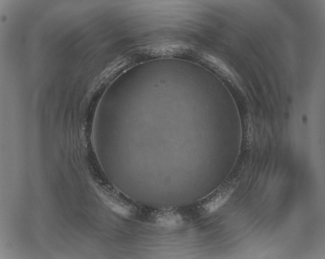 X0000069810258200605191053