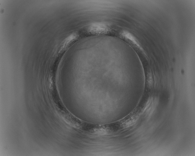 X0000069810259200605191053