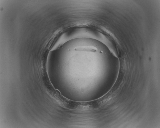 X0000069810260200605191053