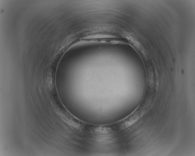 X0000069810261200605191053