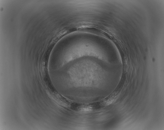 X0000069810263200605191053