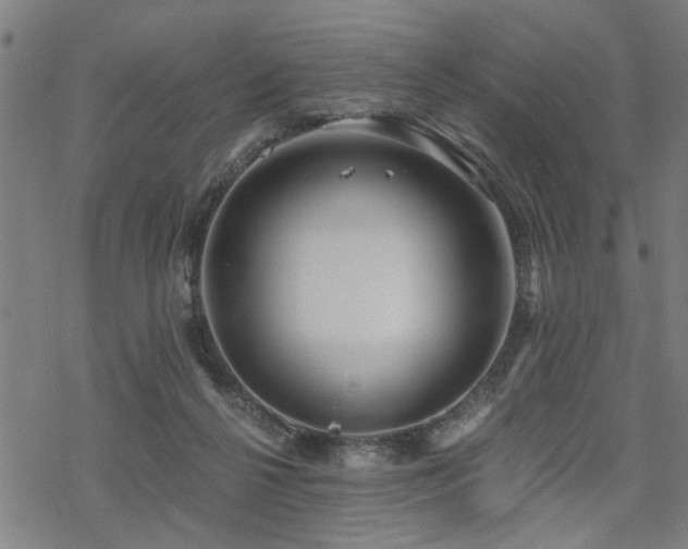 X0000069810264200605191053