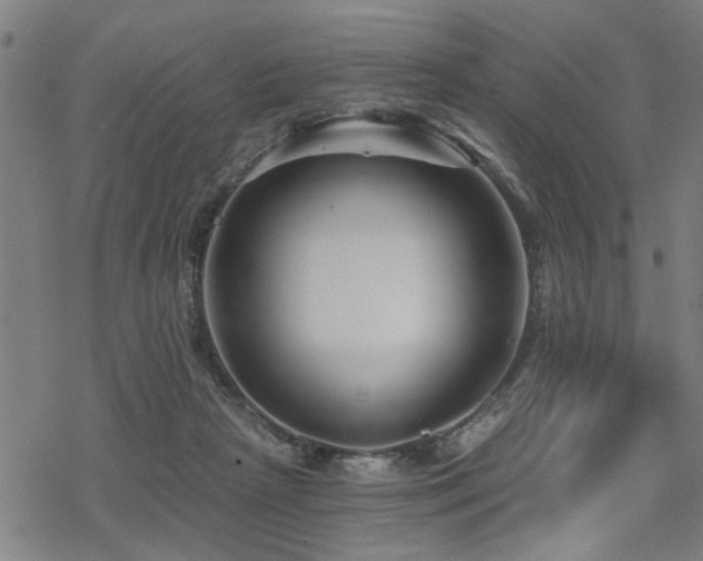 X0000069810265200605191053