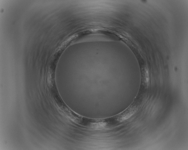 X0000069810266200605191053