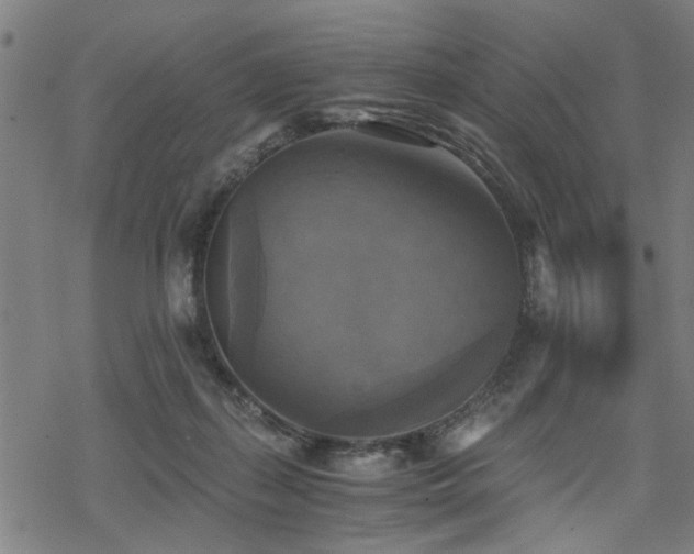 X0000069810267200605191053