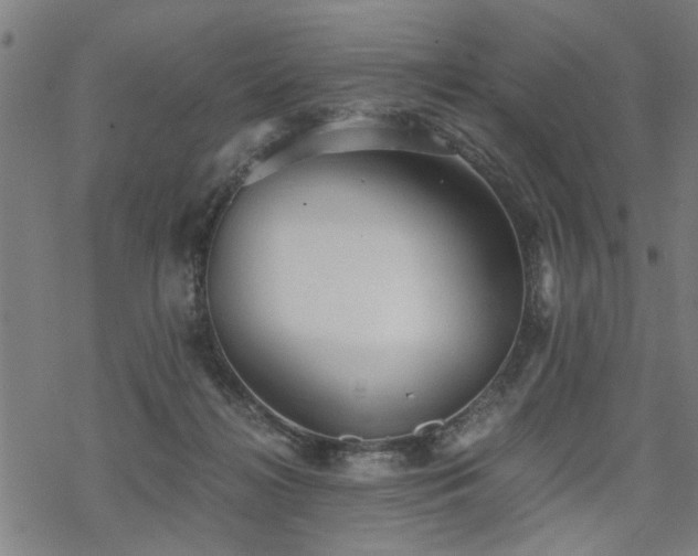 X0000069810268200605191053