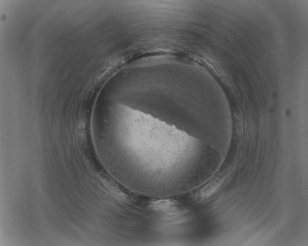 X0000069810269200605191053