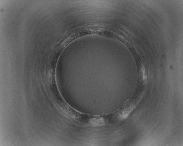 X0000069810271200605191053