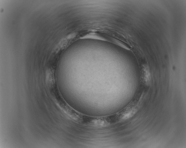 X0000069810272200605191053