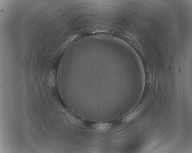 X0000069810273200605191053