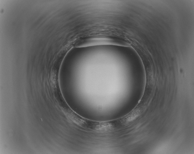 X0000069810274200605191053