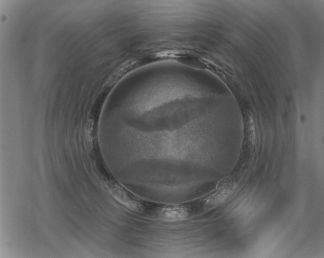 X0000069810275200605191053