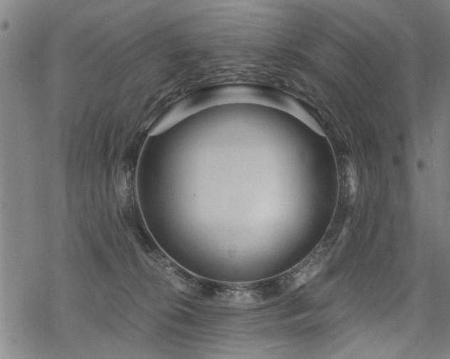 X0000069810276200605191053