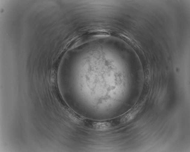 X0000069810277200605191053