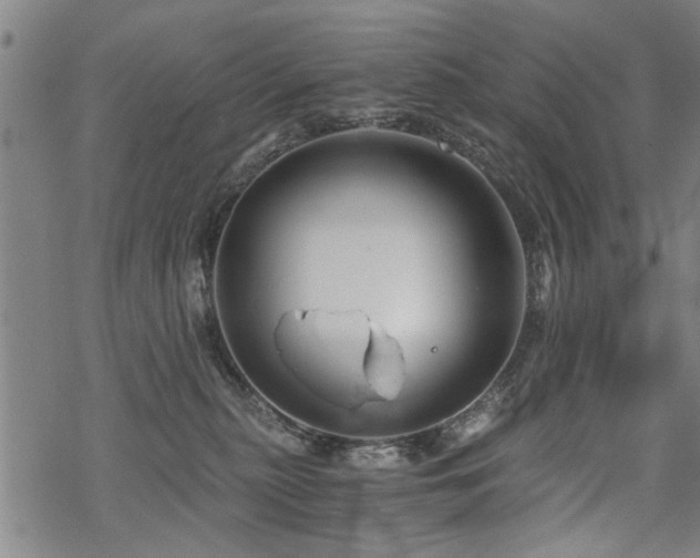 X0000069810279200605191053