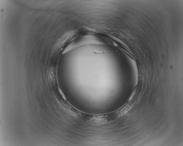 X0000069810280200605191053