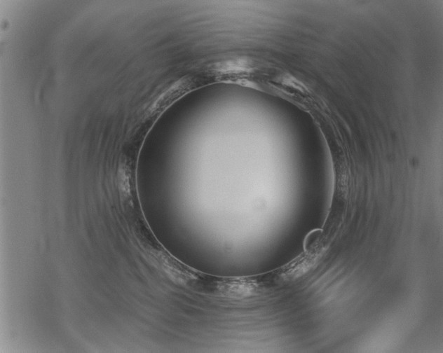 X0000069810282200605191053