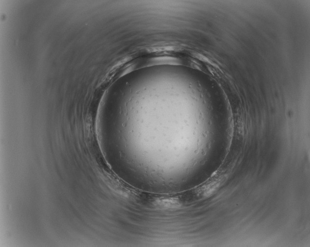 X0000069810283200605191053