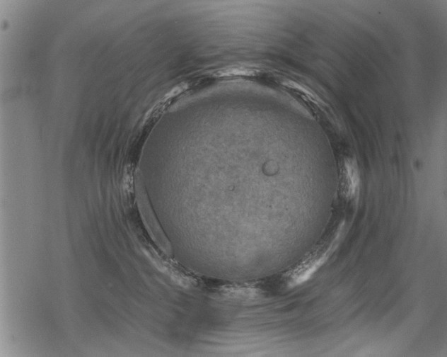 X0000069810284200605191053