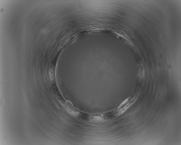 X0000069810285200605191053