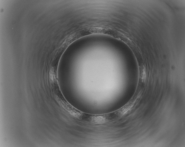 X0000069810287200605191053