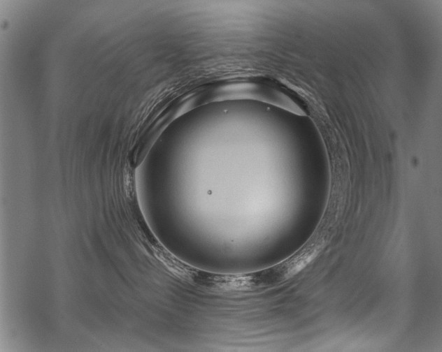 X0000069810288200605191053