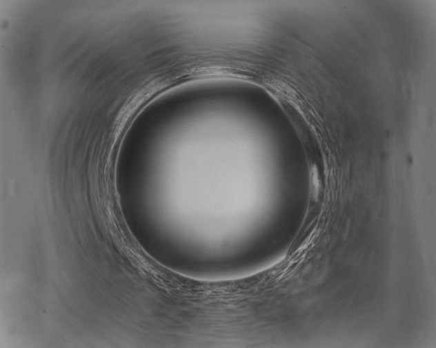 X0000069810289200605191052