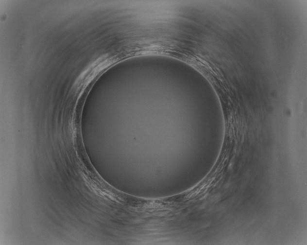 X0000069810290200605191052