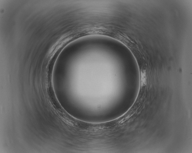 X0000069810291200605191052