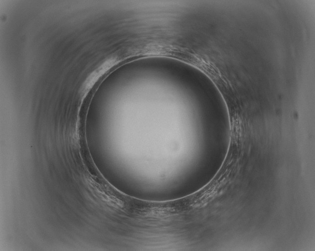 X0000069810292200605191052