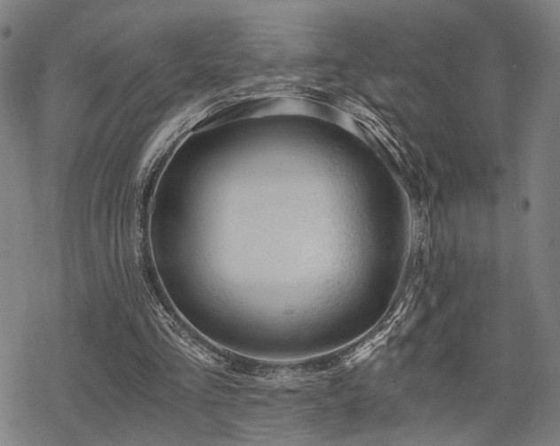 X0000069810293200605191052