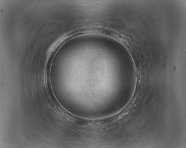 X0000069810294200605191052