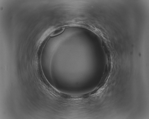 X0000069810295200605191052