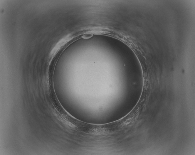 X0000069810296200605191052