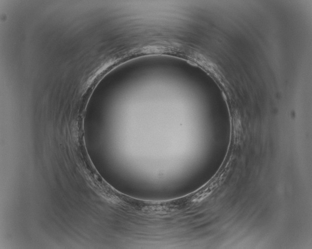 X0000069810297200605191052