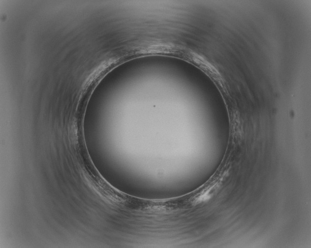 X0000069810298200605191052