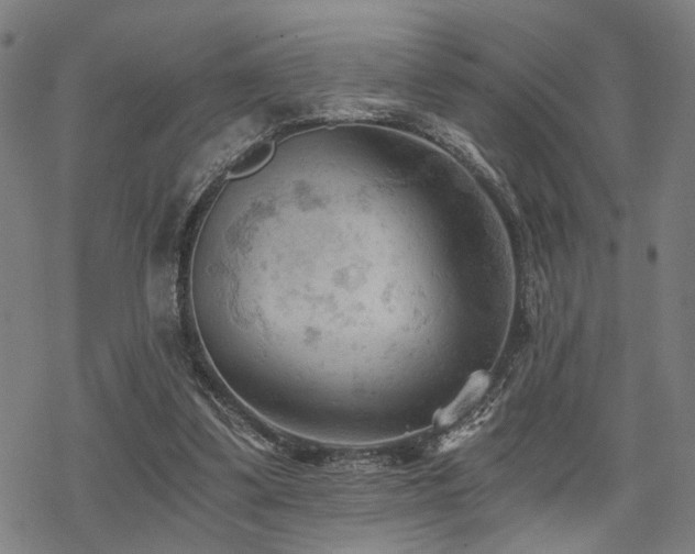 X0000069810299200605191052