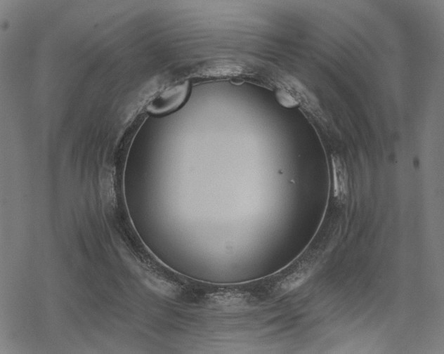 X0000069810300200605191052