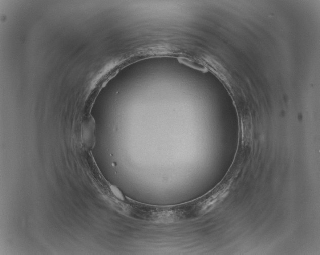 X0000069810301200605191052