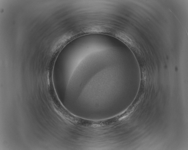 X0000069810302200605191052