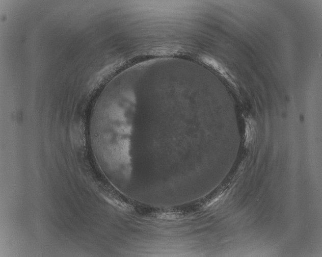 X0000069810303200605191052