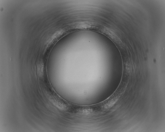 X0000069810304200605191052